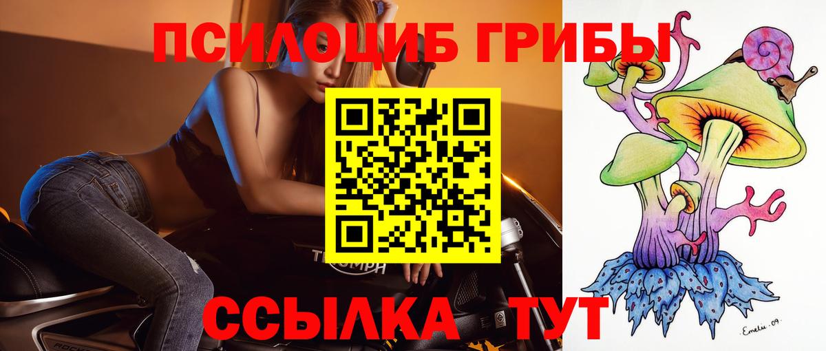 Псилоцибиновые грибы GOLDEN TEACHER Борзя