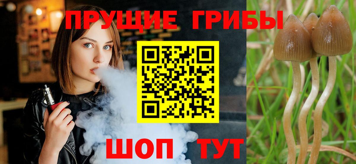 Псилоцибиновые грибы GOLDEN TEACHER  Псилоцибиновые грибы мухоморы  Вход с VPN  Борзя 